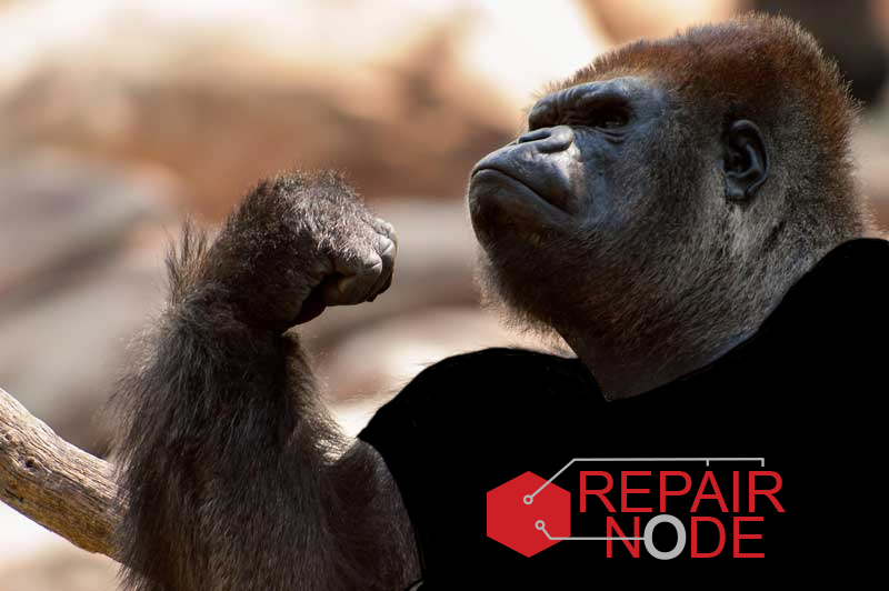 Repair Node